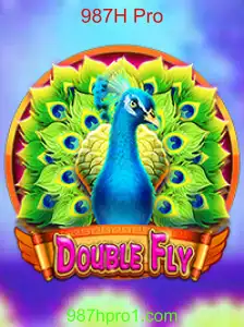 Explorando o Fascinante Mundo de DoubleFly: Instruções e Regras com 987H Pro